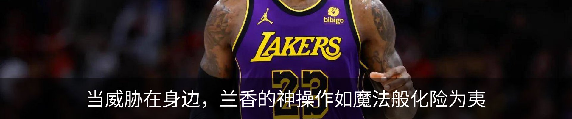 最新动态